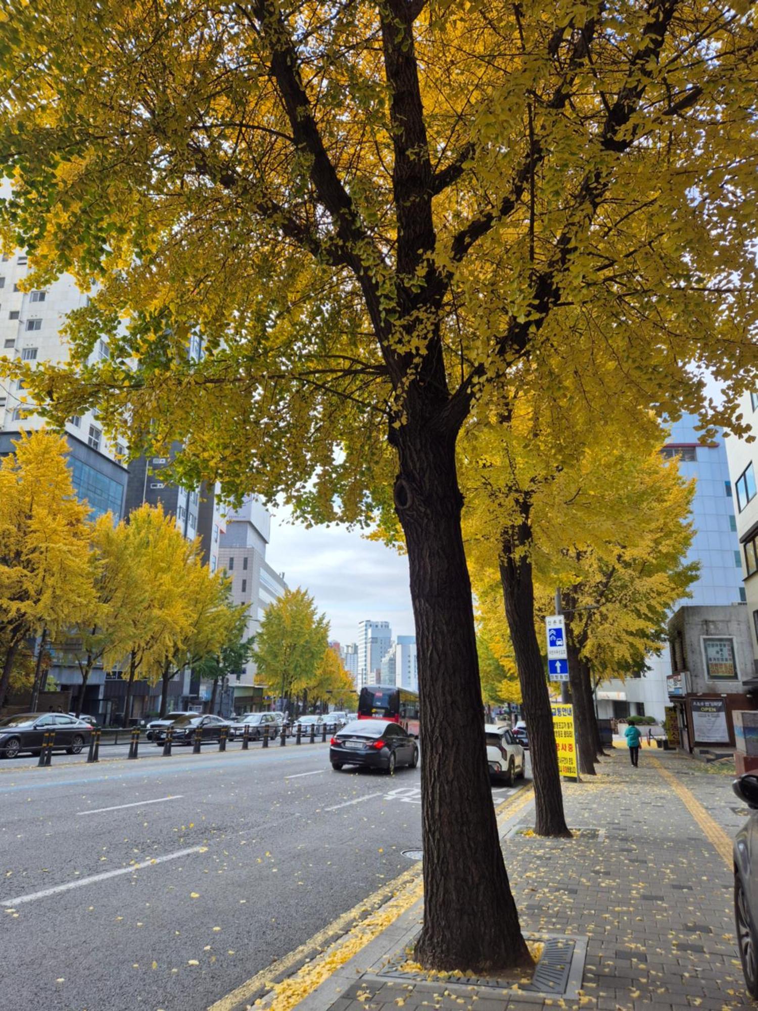 Let'S Stay Seoul Exterior foto