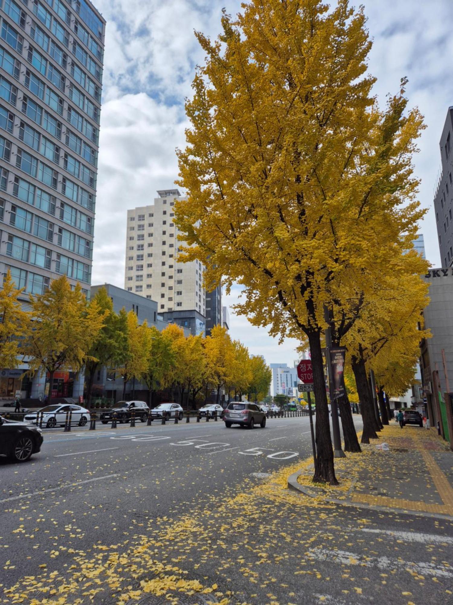 Let'S Stay Seoul Exterior foto